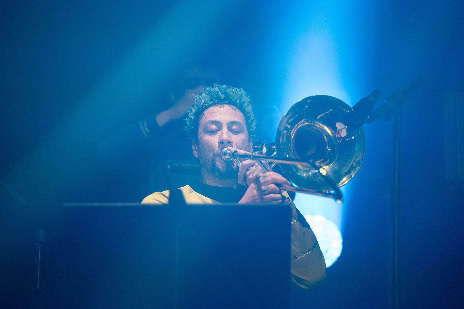 Washington Dead Cats – live trash Kikilight